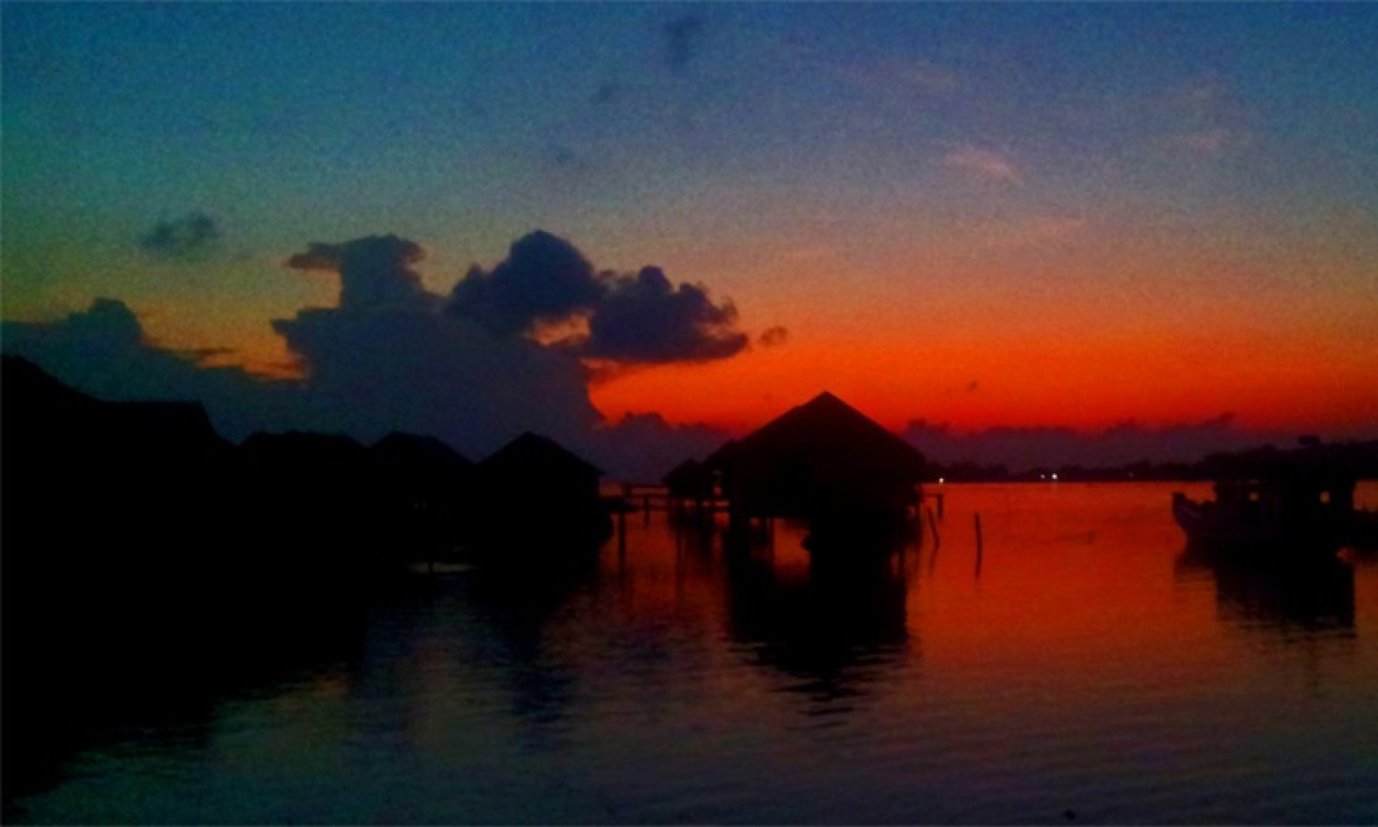 seagypsy homestay wakatobi